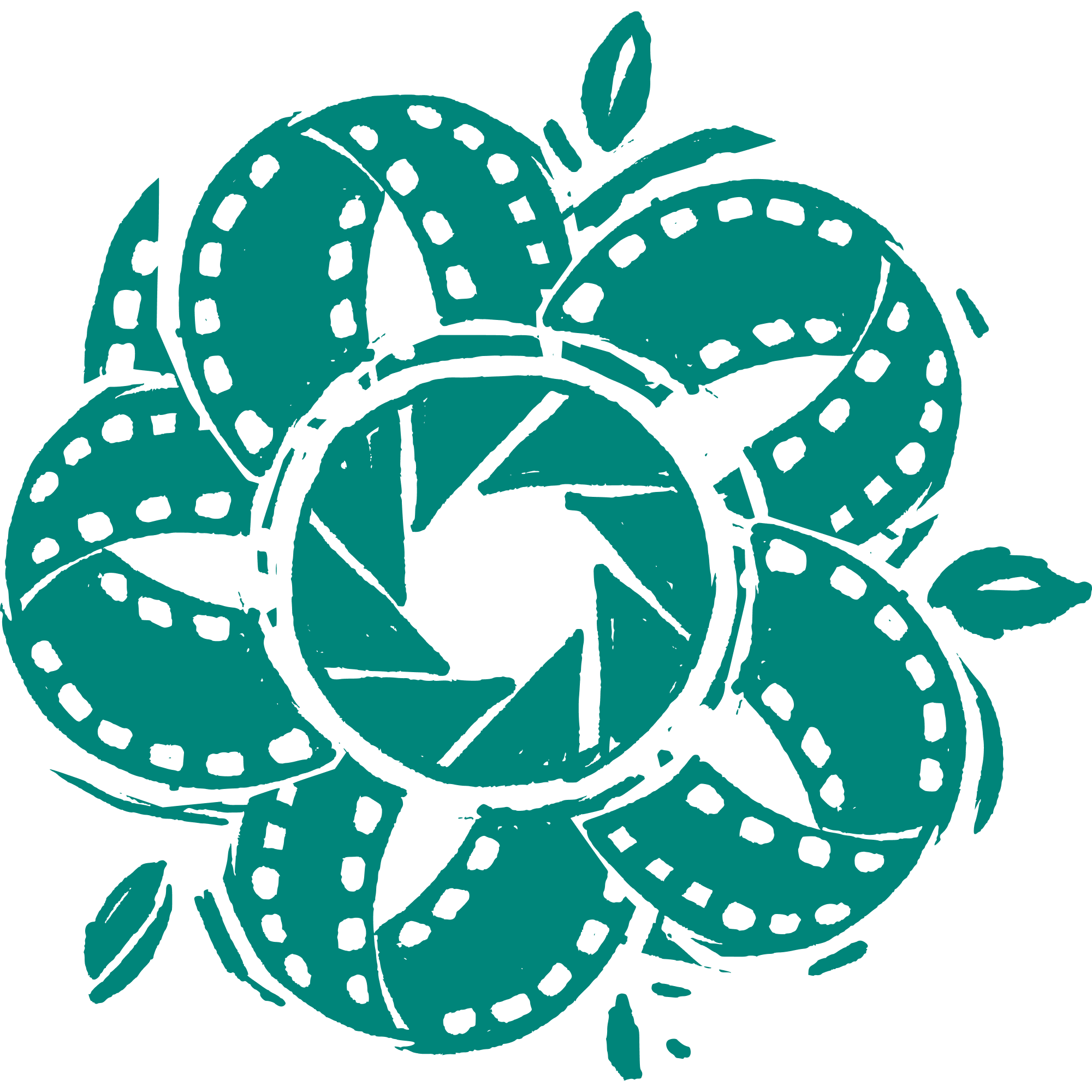 Czysta Natura icon